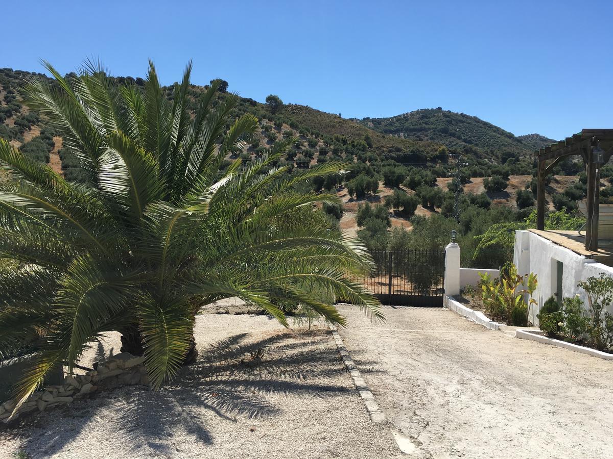 Casa El Castano * Martos